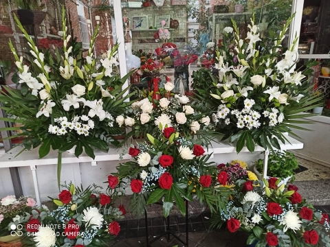 Foto 5